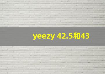 yeezy 42.5和43